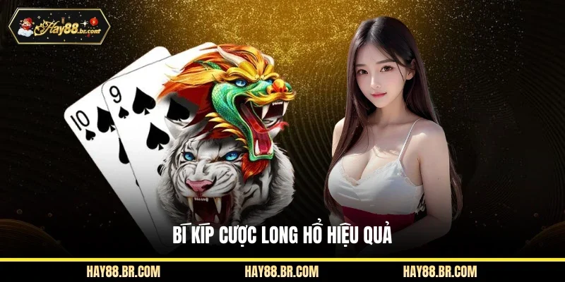 Bí kíp cược Long Hổ hiệu quả
