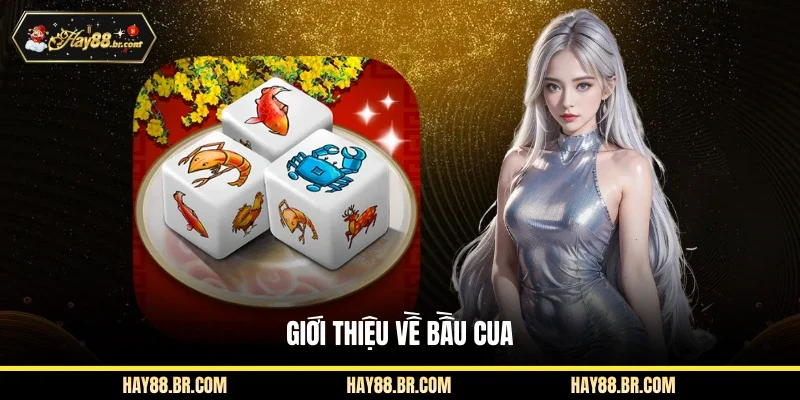 Giới thiệu về bầu cua