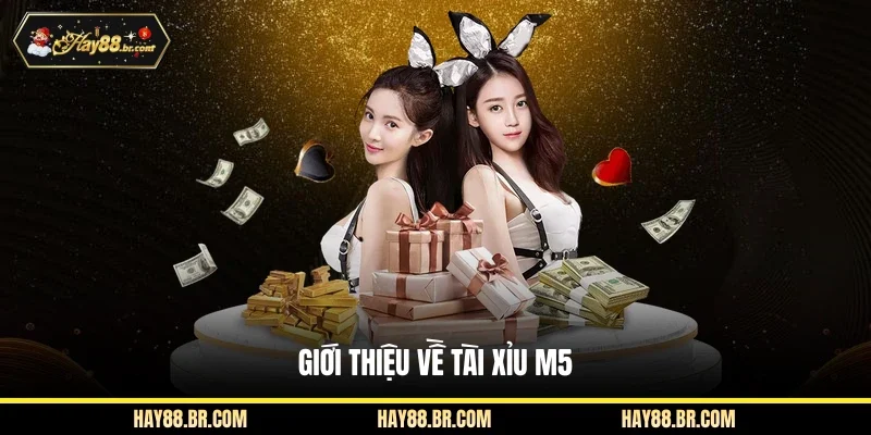 Giới thiệu về Tài Xỉu M5