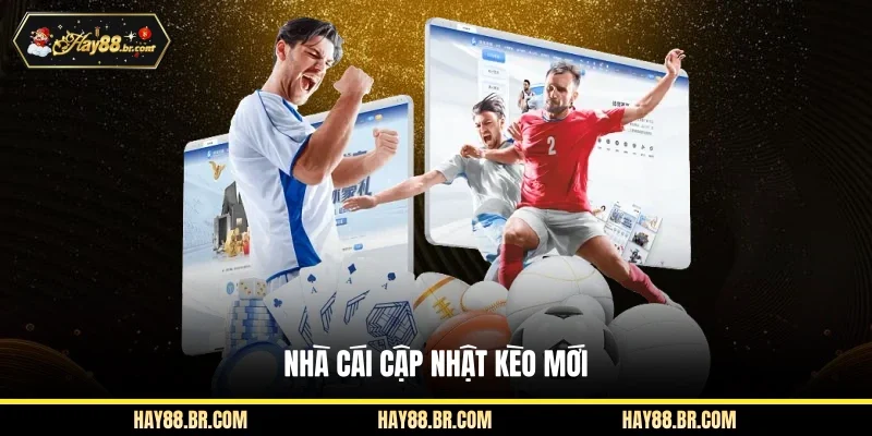 Nhà cái cập nhật kèo mới