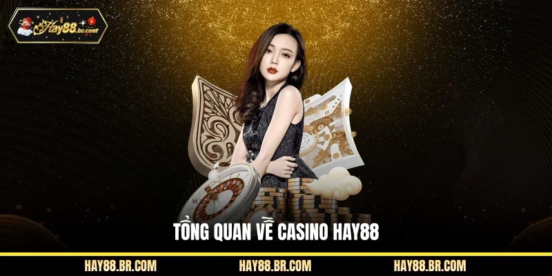 Tổng quan về casino HAY88