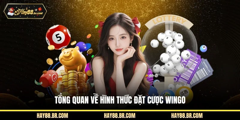 Tổng quan về hình thức đặt cược Wingo